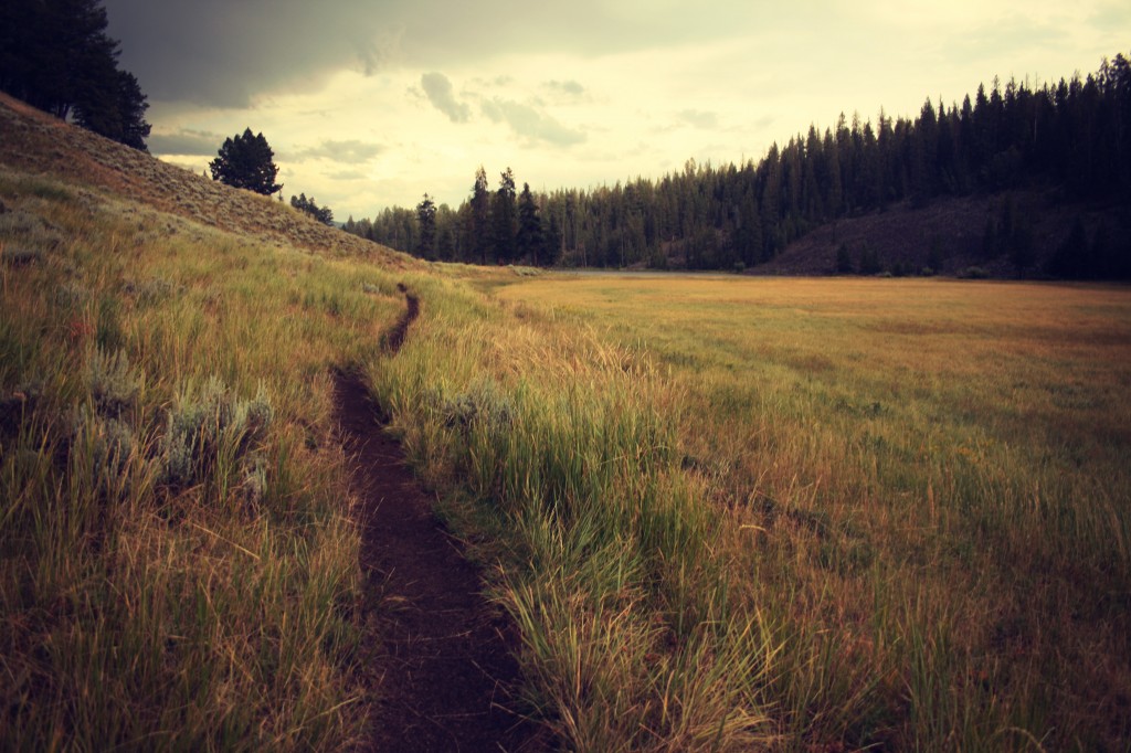 The promise of the homestead life.