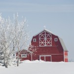 Are your bees ready for winter?