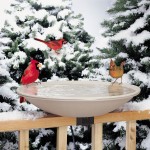 Heated Bird Bath