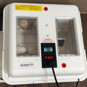 Little Giant 11300 Incubator