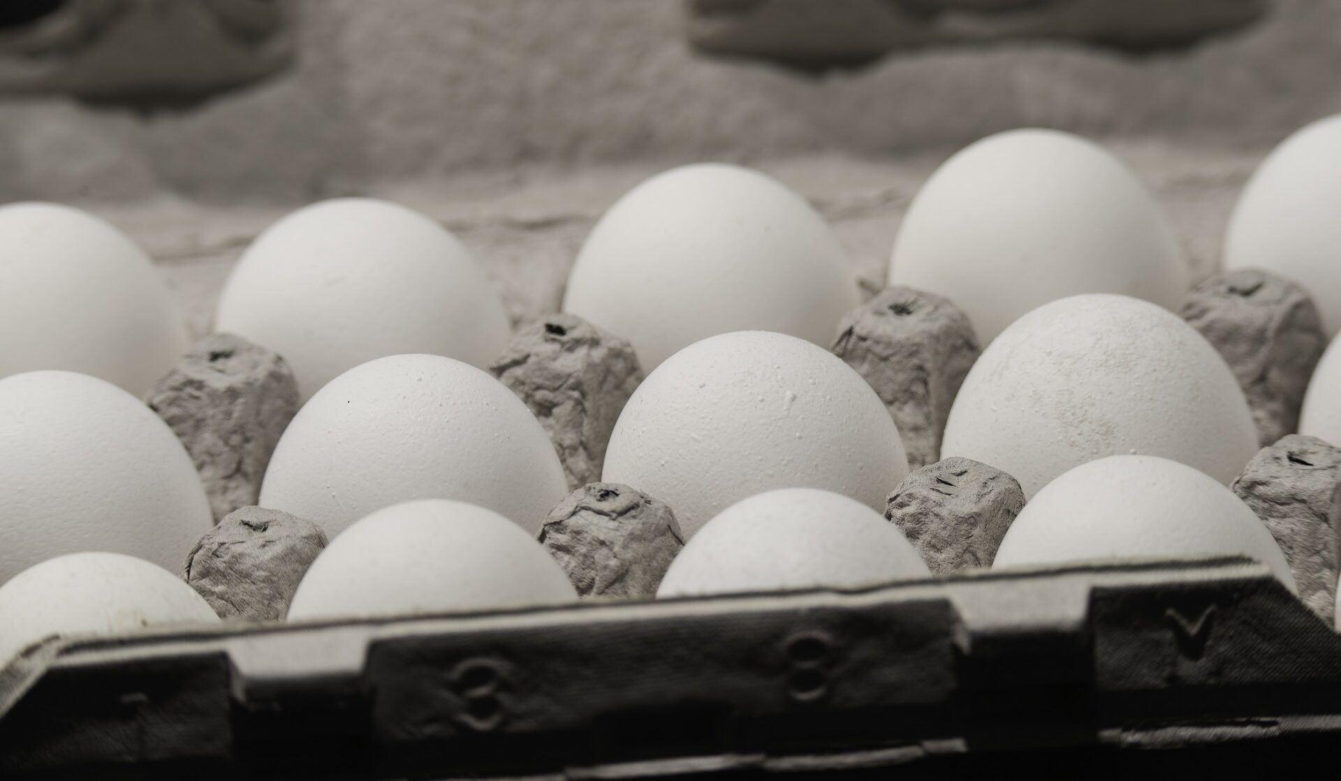 Egg Carton at Grocery Store