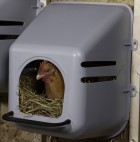 Plastic Nesting Box