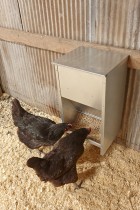 Galvanized High Capacity Poultry Feeder