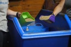 3 Quart Plastic Enclosed Feed Scoop