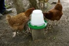 1 Gallon Nesting-Style Poultry Waterer Base