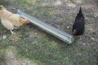 48" Reel-Top Poultry Range Feeder