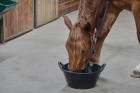 6.5 Gallon Rubber Tub with Handles