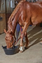 6.5 Gallon Rubber Tub with Handles