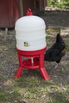 10 Gal. Plastic Dome Waterer