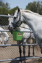 12 Quart Plastic Hook Over Feeder