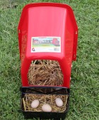 Deluxe Plastic Nesting Box