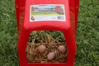 Deluxe Plastic Nesting Box