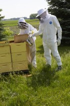 Beekeeping Veil with Built-In Hat