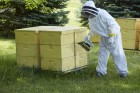 Large Beekeeping Jacket