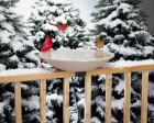 Deck-Mounted Heated Bird Bath