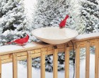 Deck-Mounted Heated Bird Bath