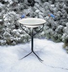 Heated Birdbath with Stand