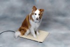 Medium Plastic Heated Pet Mat