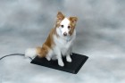 Medium Plastic Heated Pet Mat