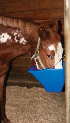 20 Quart Plastic Better Bucket