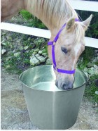 20 Quart Stainless Steel Dairy Pail