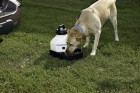 3 Gallon Travel Pal Pet Waterer