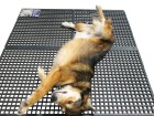 VersaPad&reg; Flooring 24" x 48 5/8" x 1/2"
