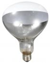 250 Watt Clear Heat Lamp Bulb