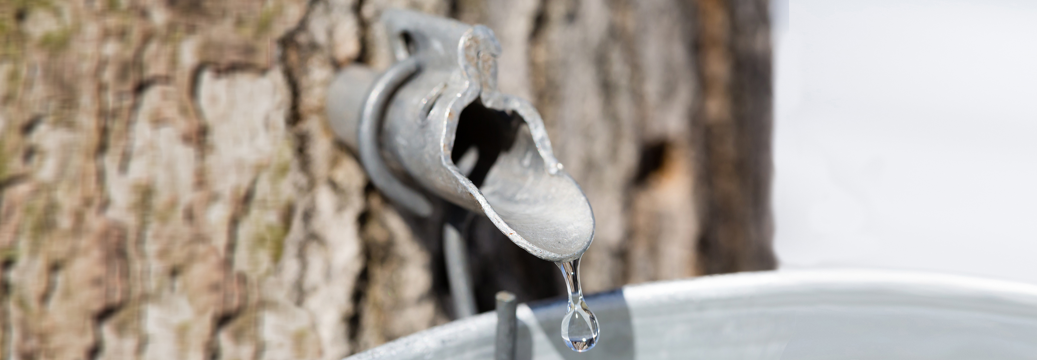 Maple Sugaring Supplies