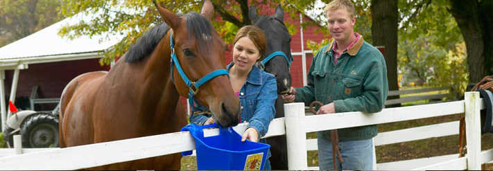 Plastic Buckets, Tubs & Feeders