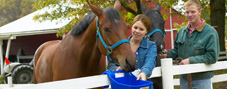 Plastic Buckets, Tubs & Feeders